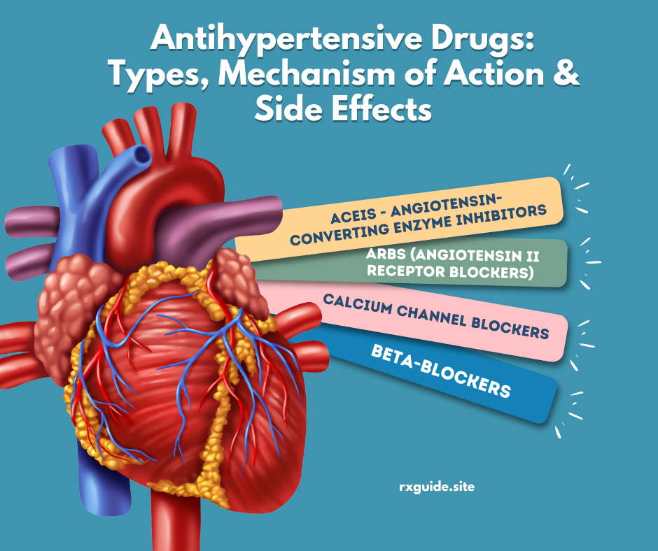 Antihypertensive Drugs: Types, Mechanism of Action & Side Effects
