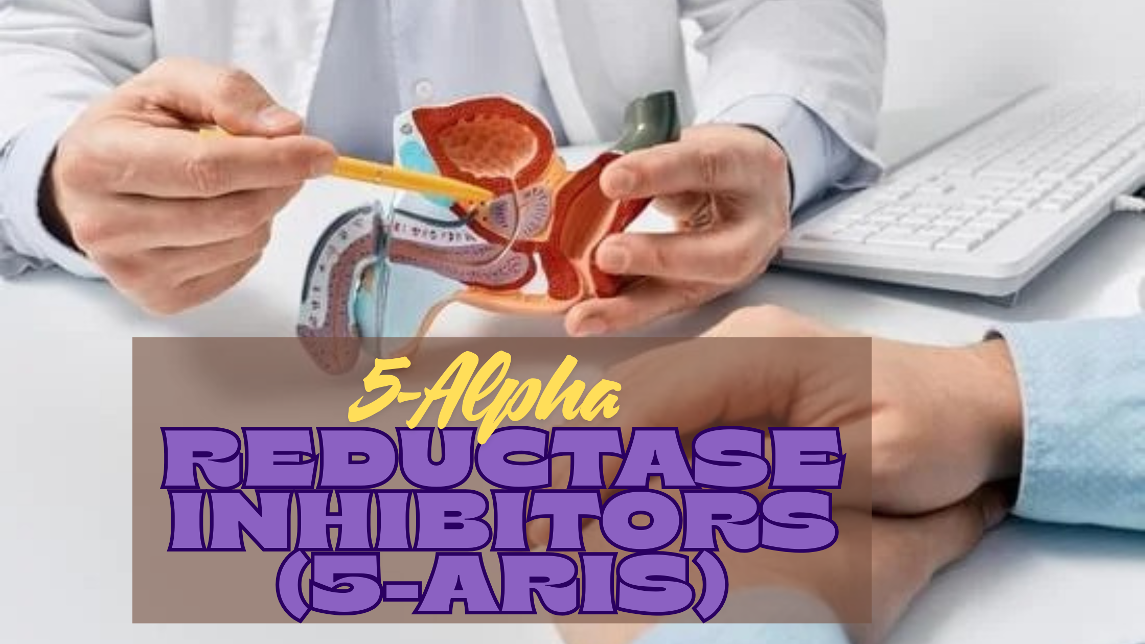 5-alpha-reductase inhibitors