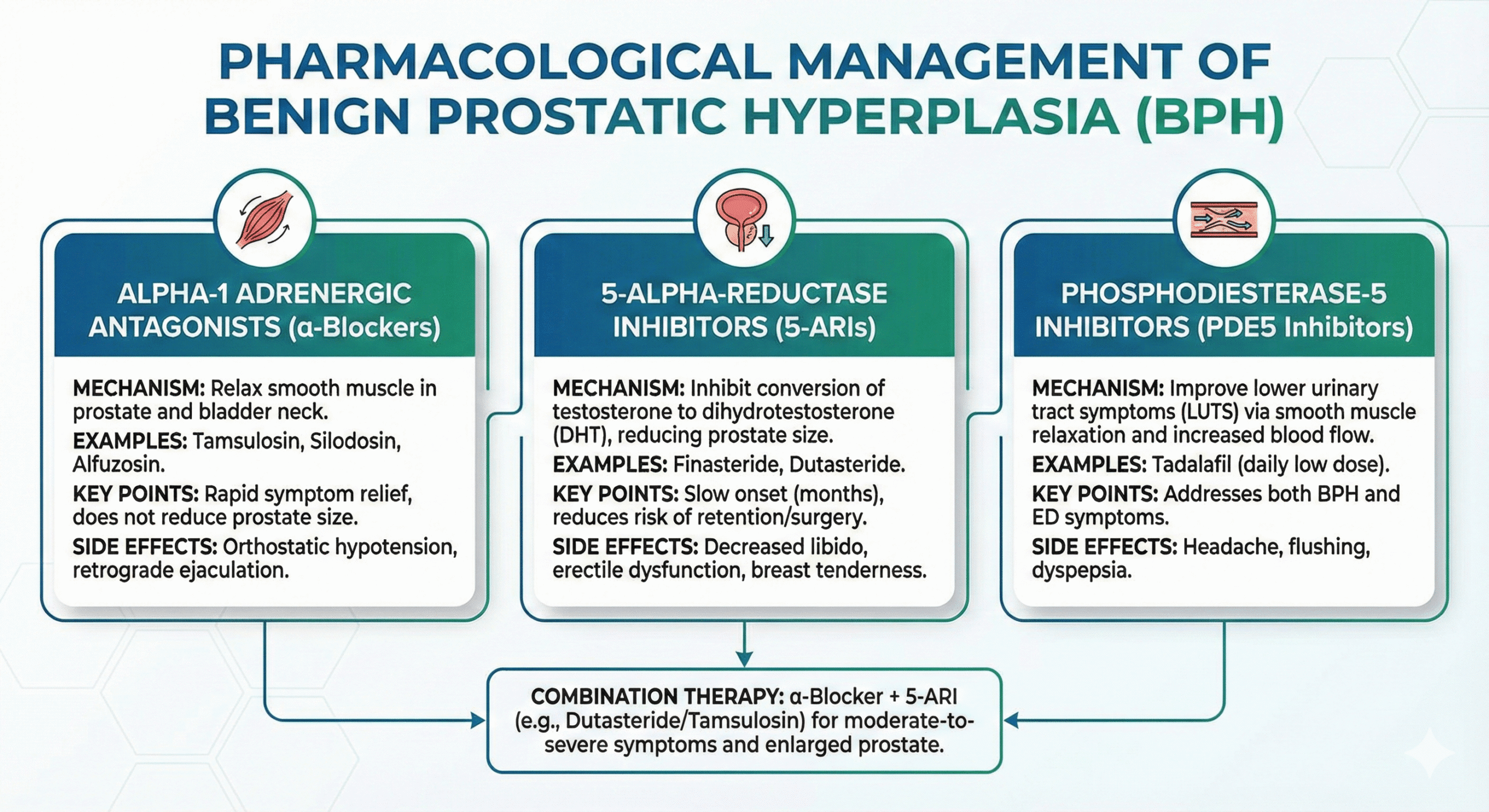 Benign Prostatic Hyperplasia (BPH) drug classes
