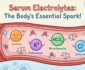 Serum Electrolytes